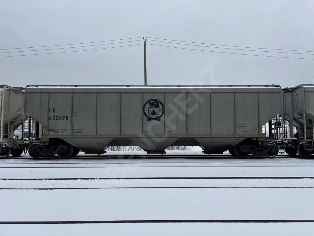 CP650878 - NORTH-AMERICA