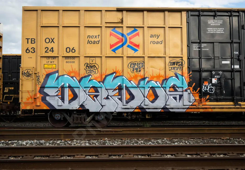 Train photo