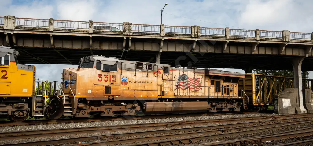 UP5315 - NORTH-AMERICA
