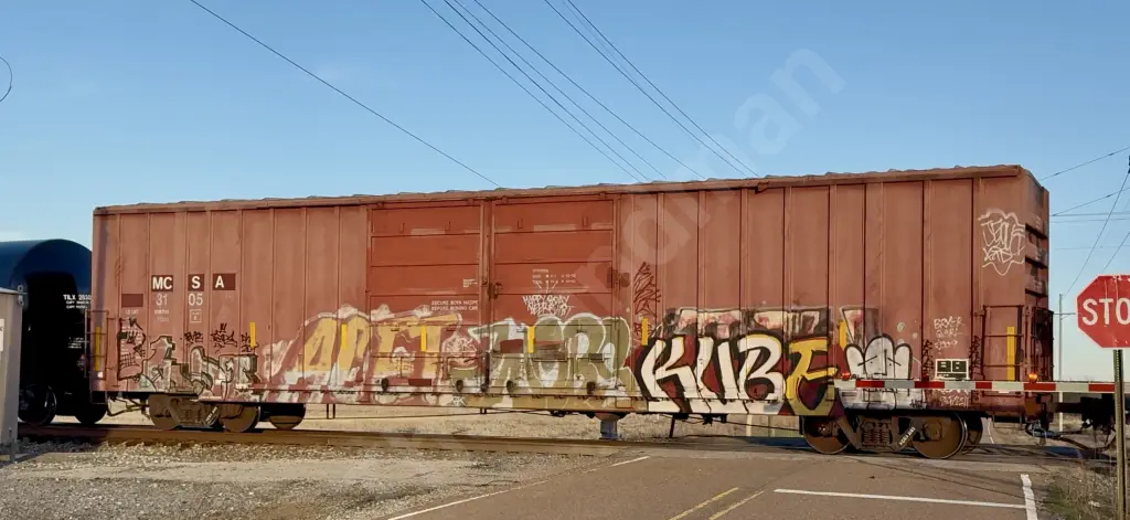 MCSA3105 - NORTH-AMERICA