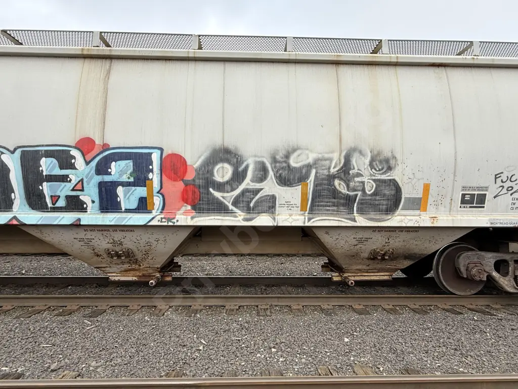 GCCX81097 - NORTH-AMERICA