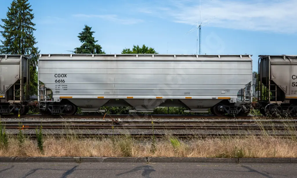 CGOX6616 - NORTH-AMERICA