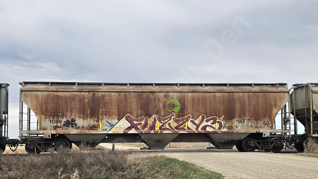 CGOX1086 - NORTH-AMERICA