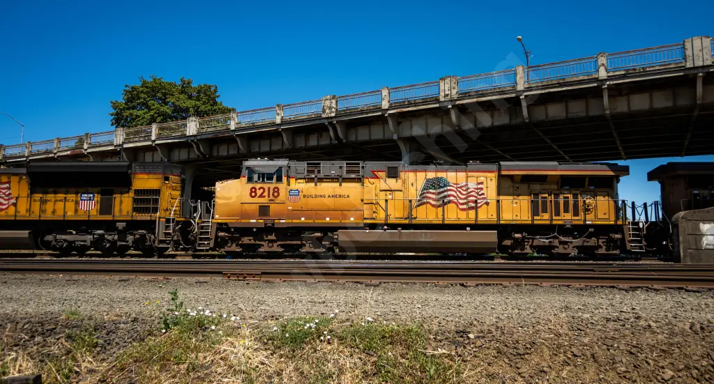 UP8218 - NORTH-AMERICA