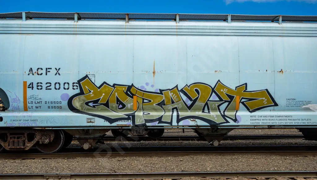 ACFX462006 - NORTH-AMERICA