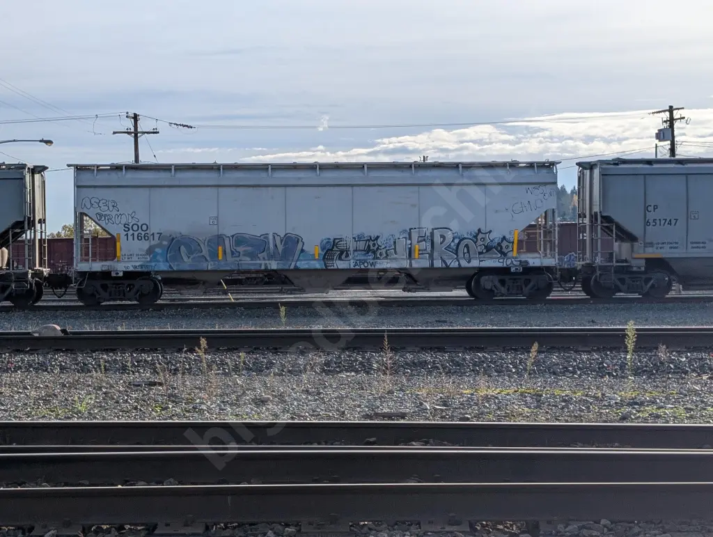 SOO116617 - NORTH-AMERICA