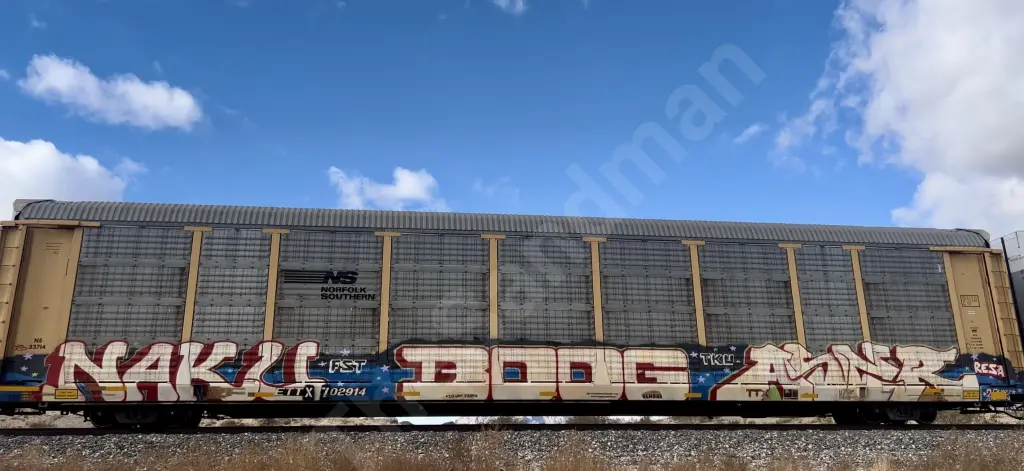 ETTX702914 - NORTH-AMERICA