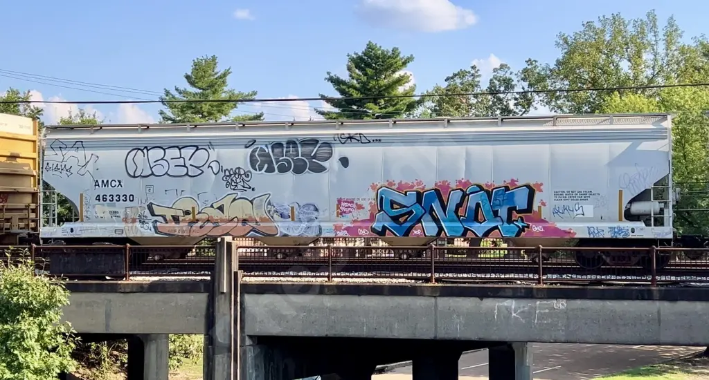 AMCX163330 - NORTH-AMERICA