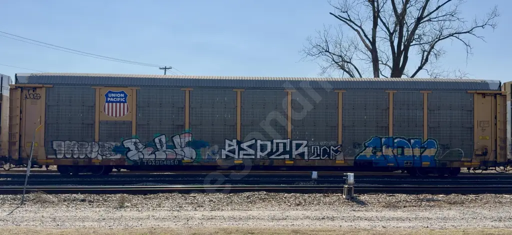 TTGX994850 - NORTH-AMERICA