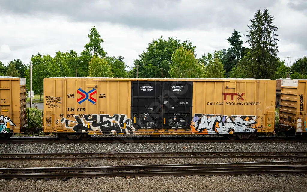 TBOX667166 - NORTH-AMERICA