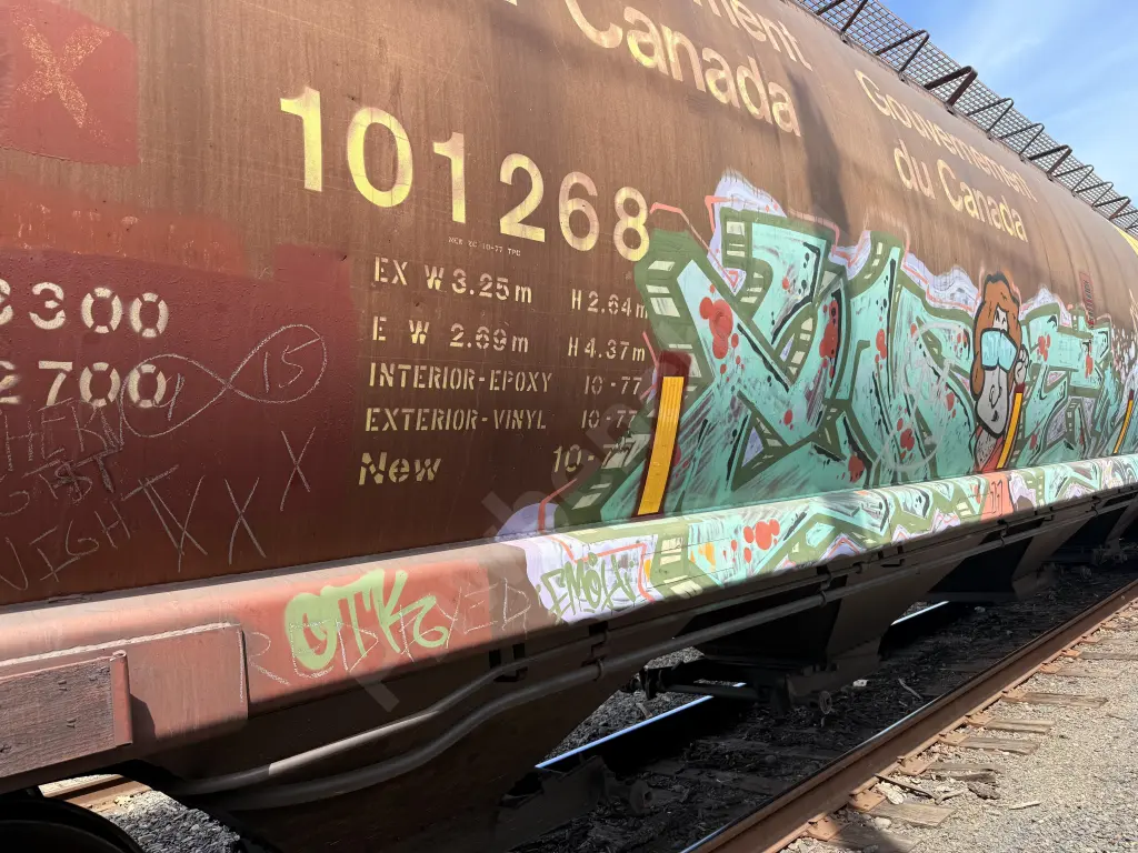 CN101268 - NORTH-AMERICA