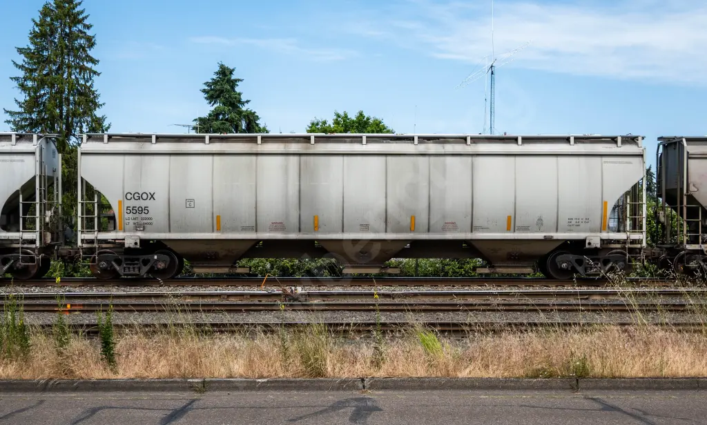 CGOX5595 - NORTH-AMERICA