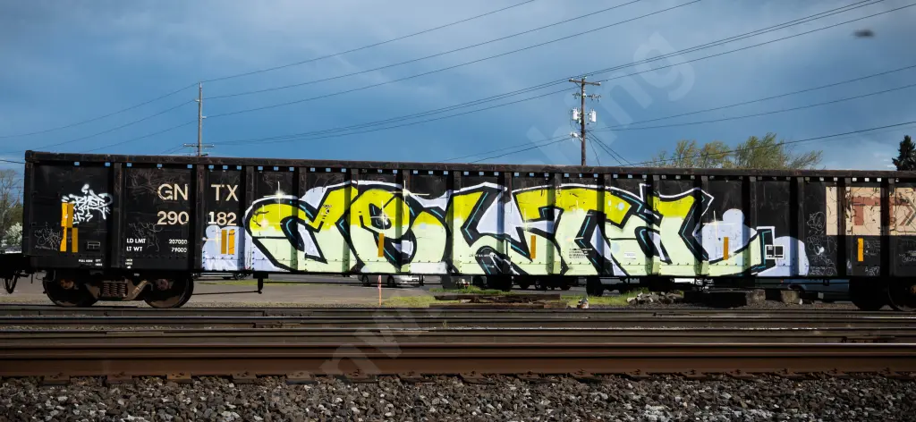 GNTX290182 - NORTH-AMERICA