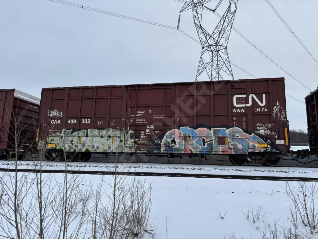 CNA409302 - NORTH-AMERICA