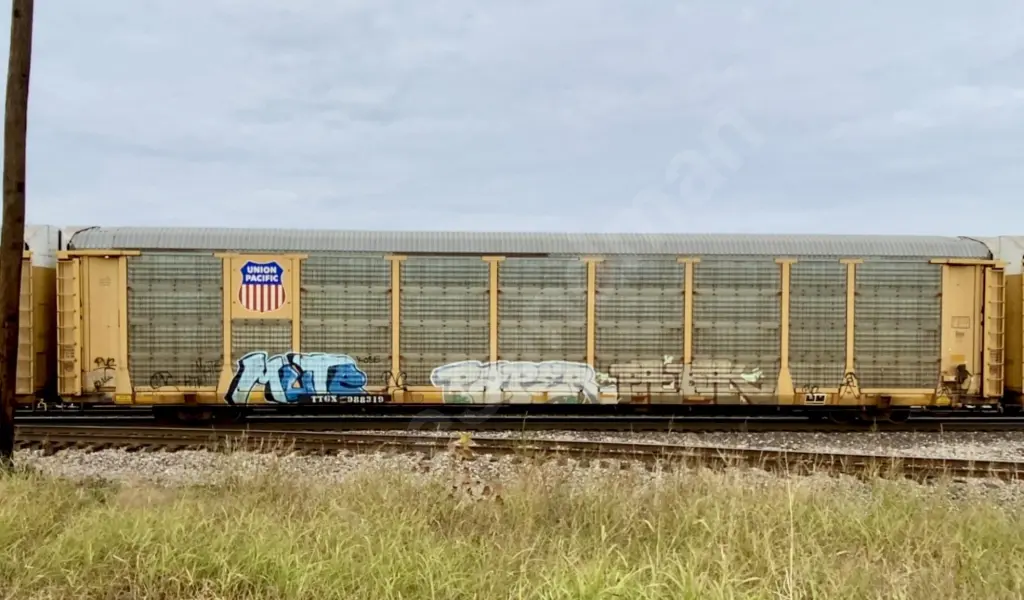 TTGX988319 - NORTH-AMERICA