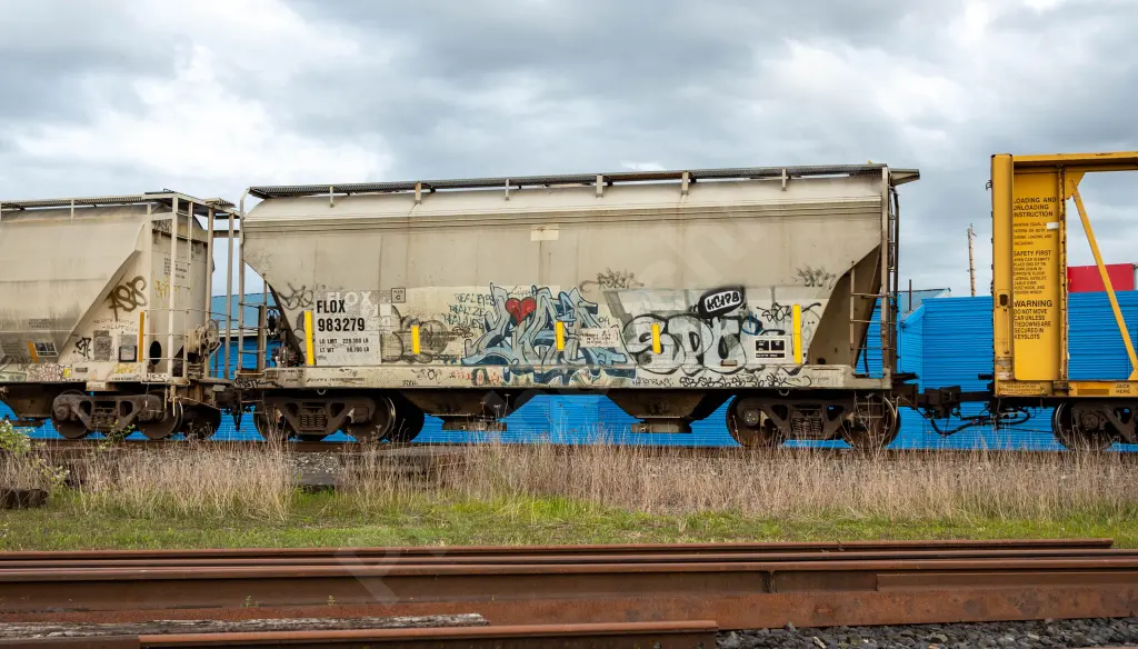 FLOX983279 - NORTH-AMERICA