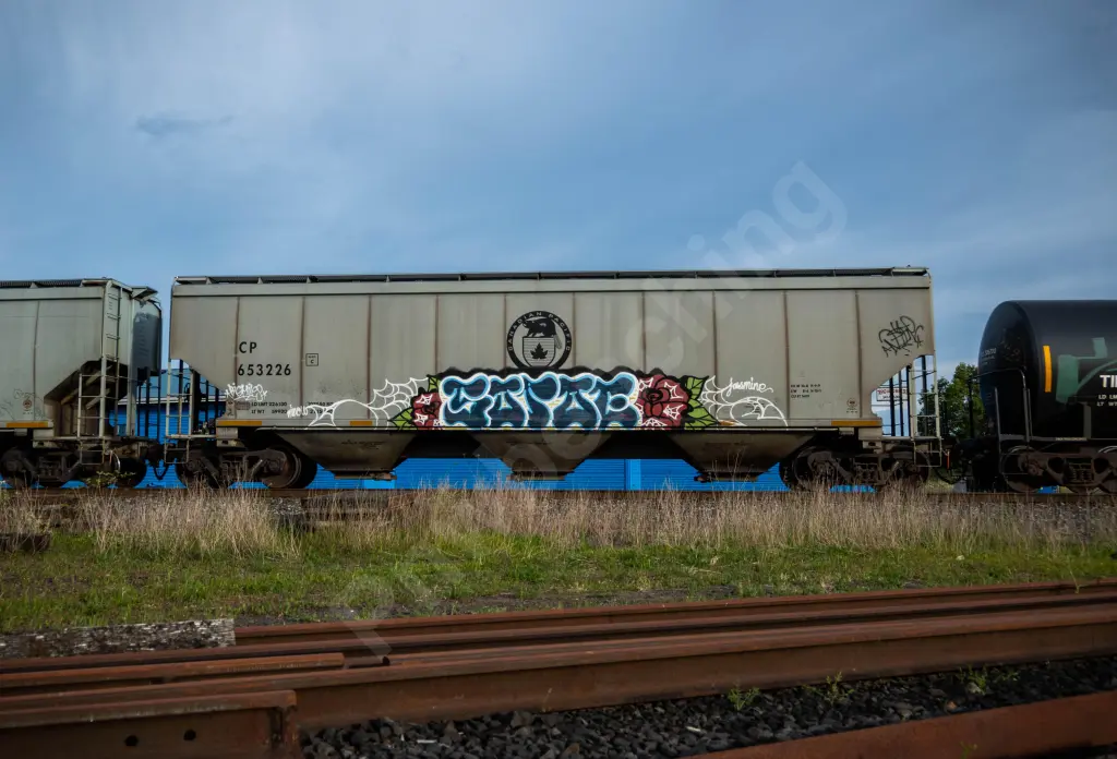 CP653226 - NORTH-AMERICA