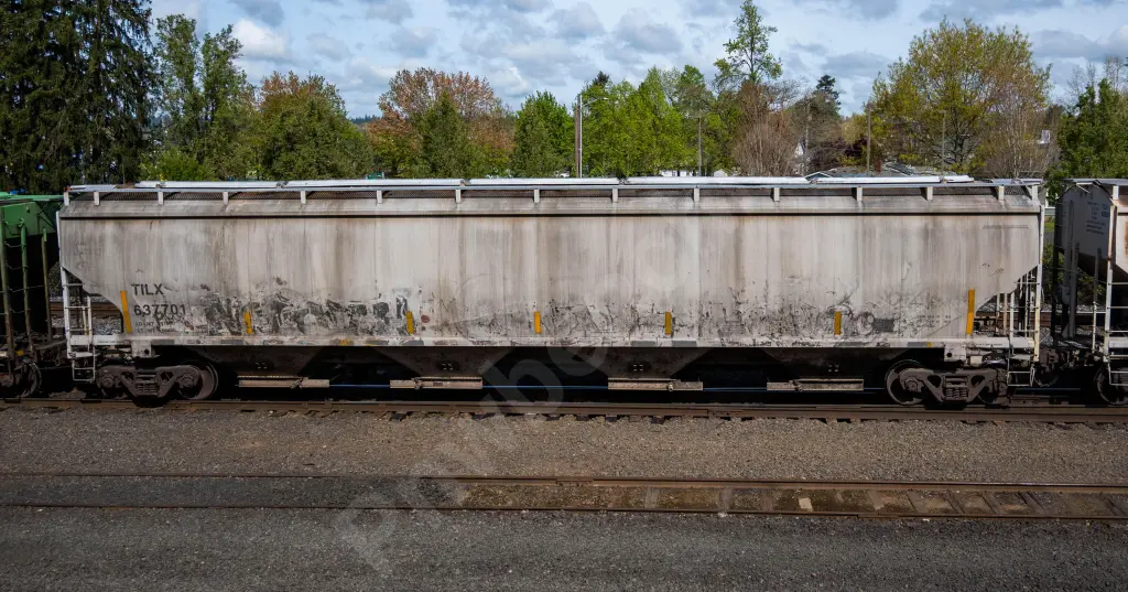 TILX637701 - NORTH-AMERICA
