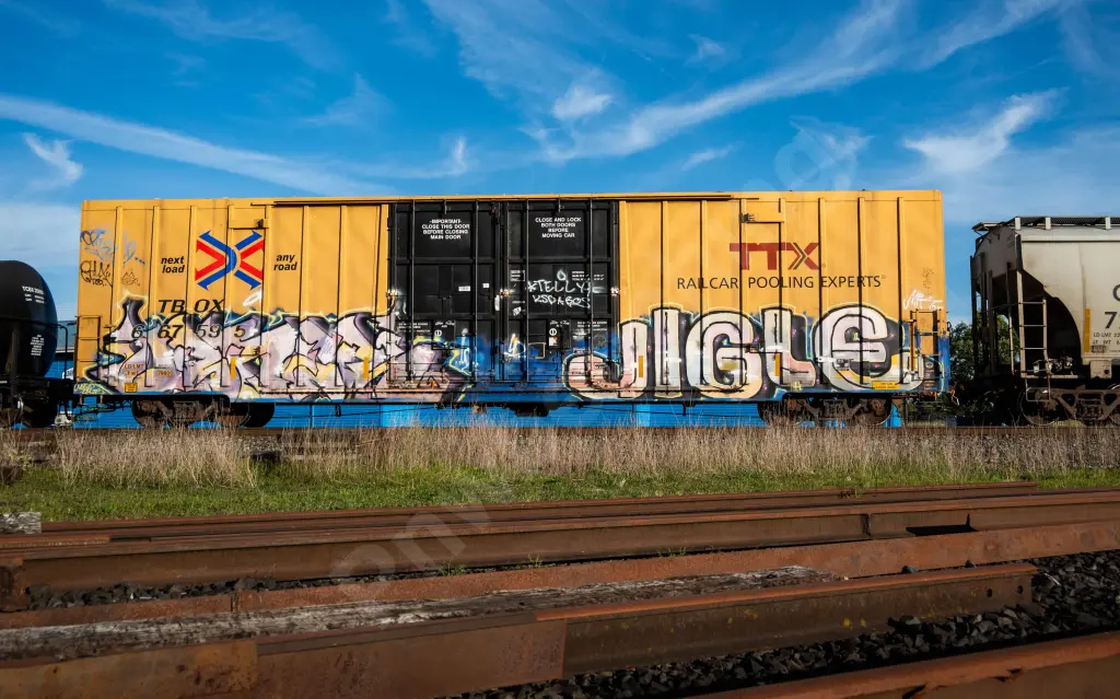 TBOX667595 - NORTH-AMERICA