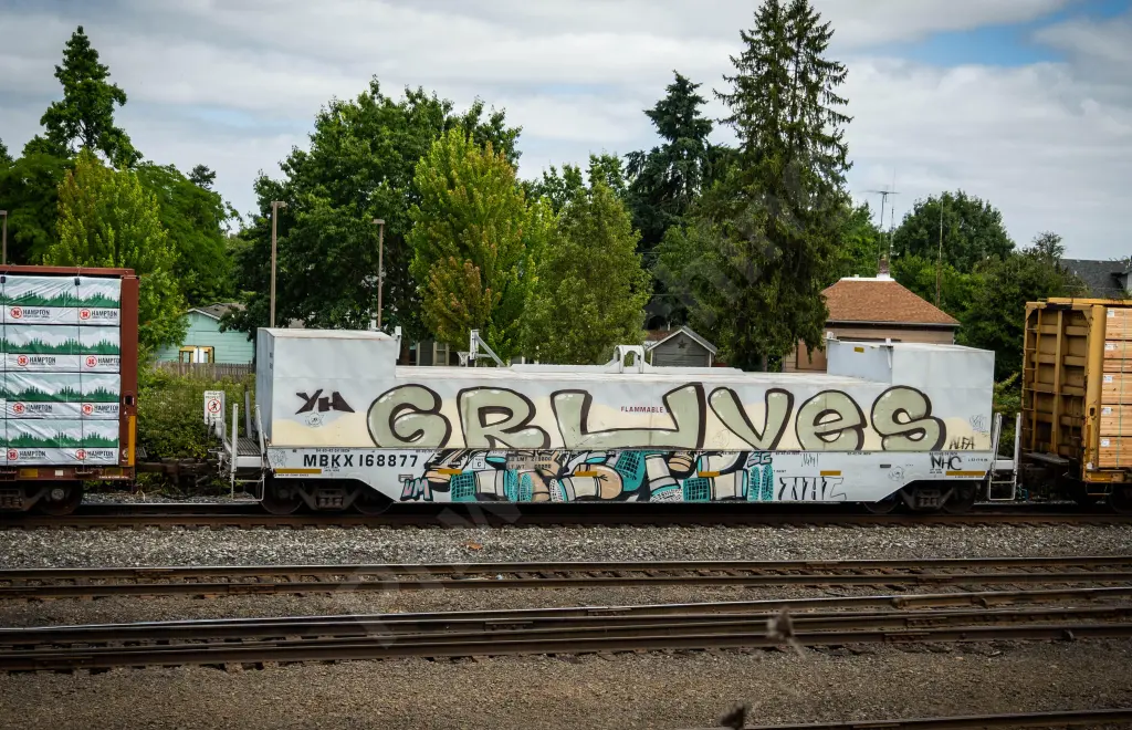 MBKX168877 - NORTH-AMERICA