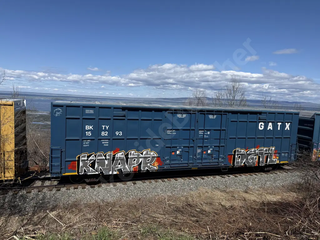 BKTY158293 - NORTH-AMERICA