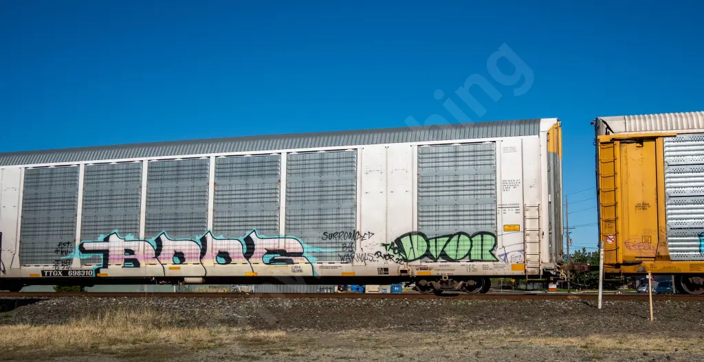 TTGX698310 - NORTH-AMERICA