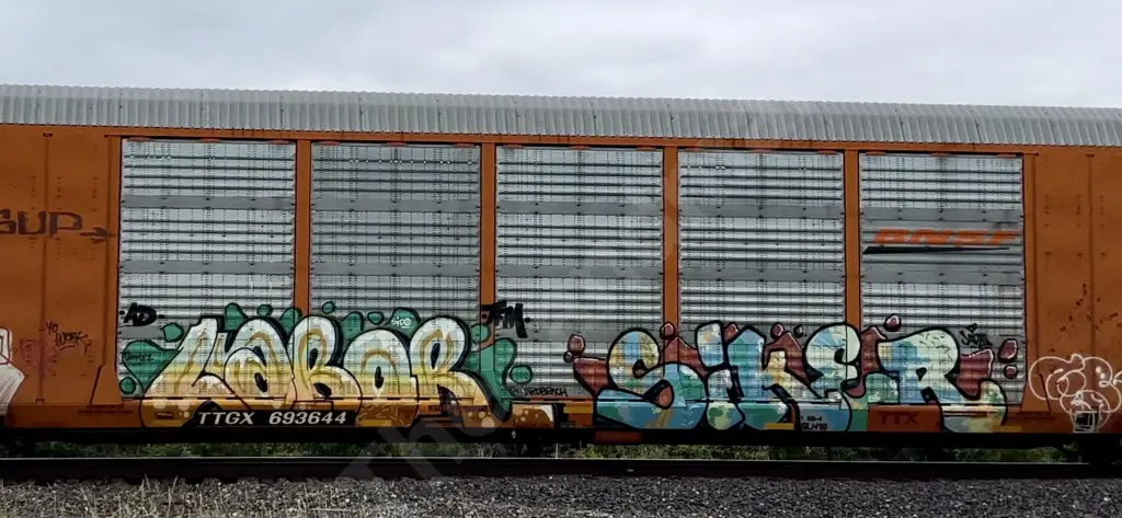 TTGX693644 - NORTH-AMERICA
