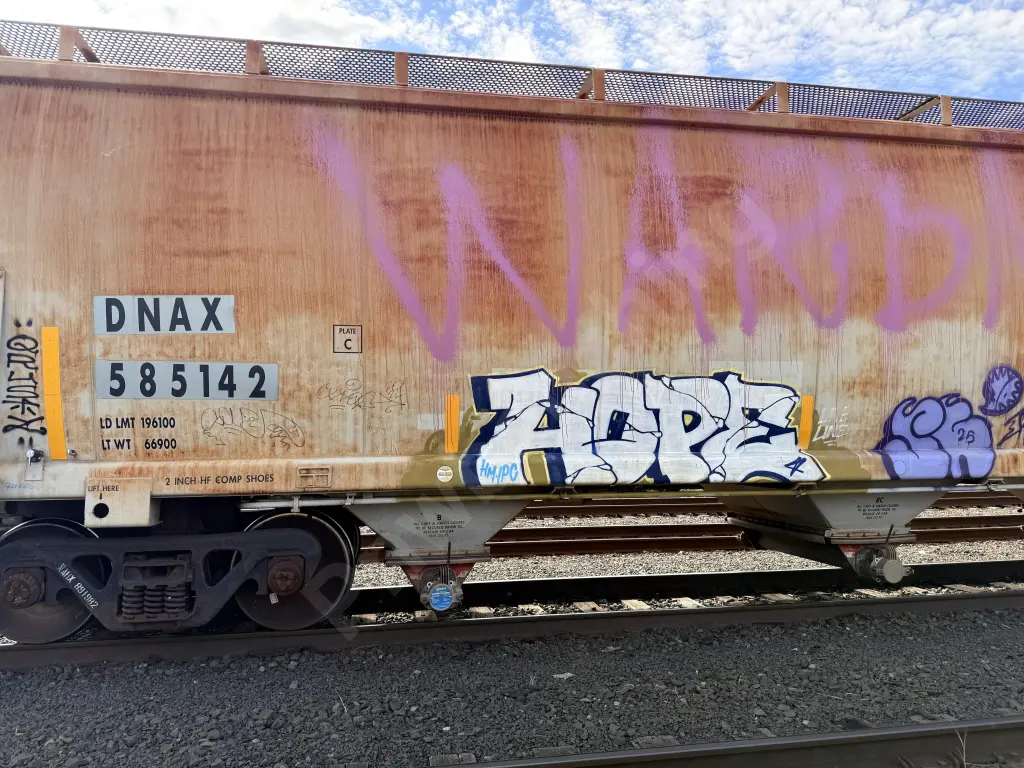 DNAX585142 - NORTH-AMERICA