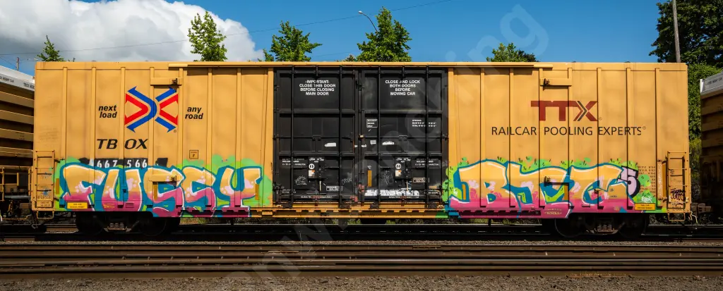 TBOX667566 - NORTH-AMERICA