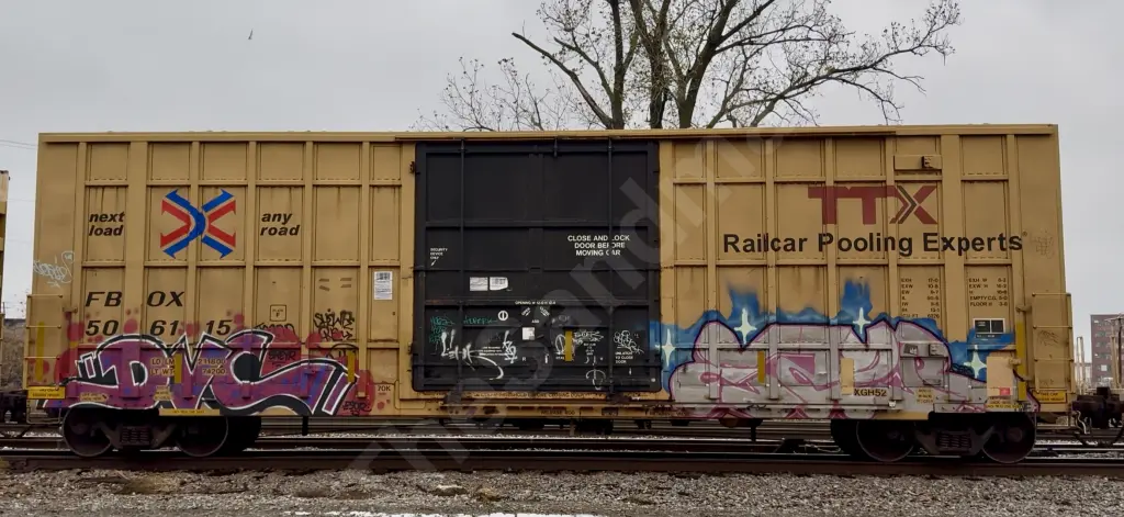 FBOX506115 - NORTH-AMERICA