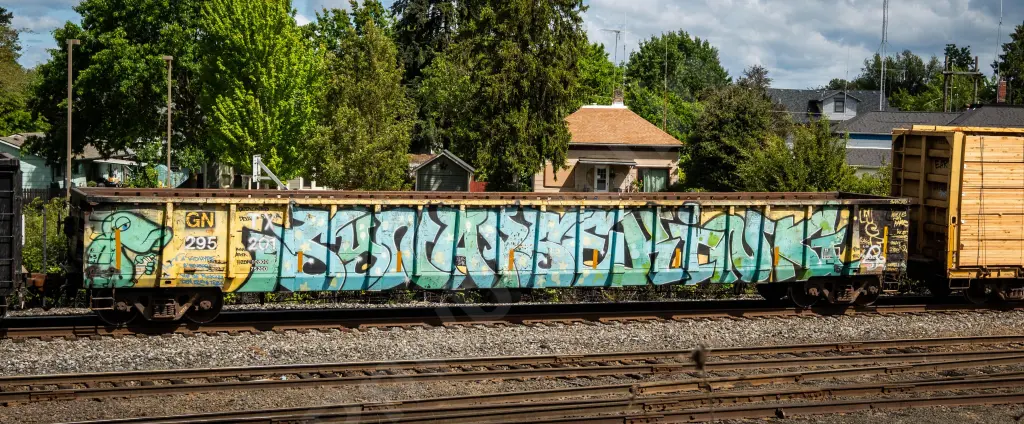 GNTX295201 - NORTH-AMERICA