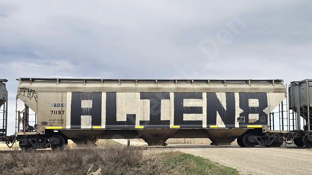 AOK71197 - NORTH-AMERICA