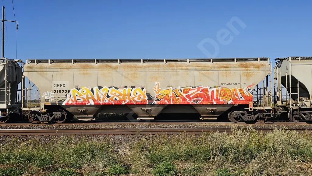 CEFX319236 - NORTH-AMERICA