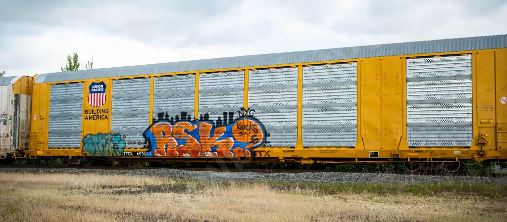 TTGX699021 - NORTH-AMERICA