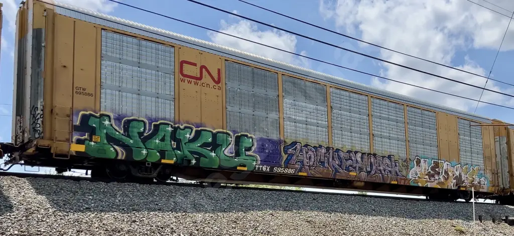 TTGX695886 - NORTH-AMERICA