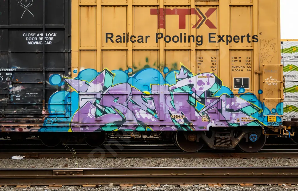 FBOX506262 - NORTH-AMERICA