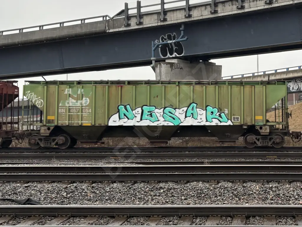 BN467054 - NORTH-AMERICA