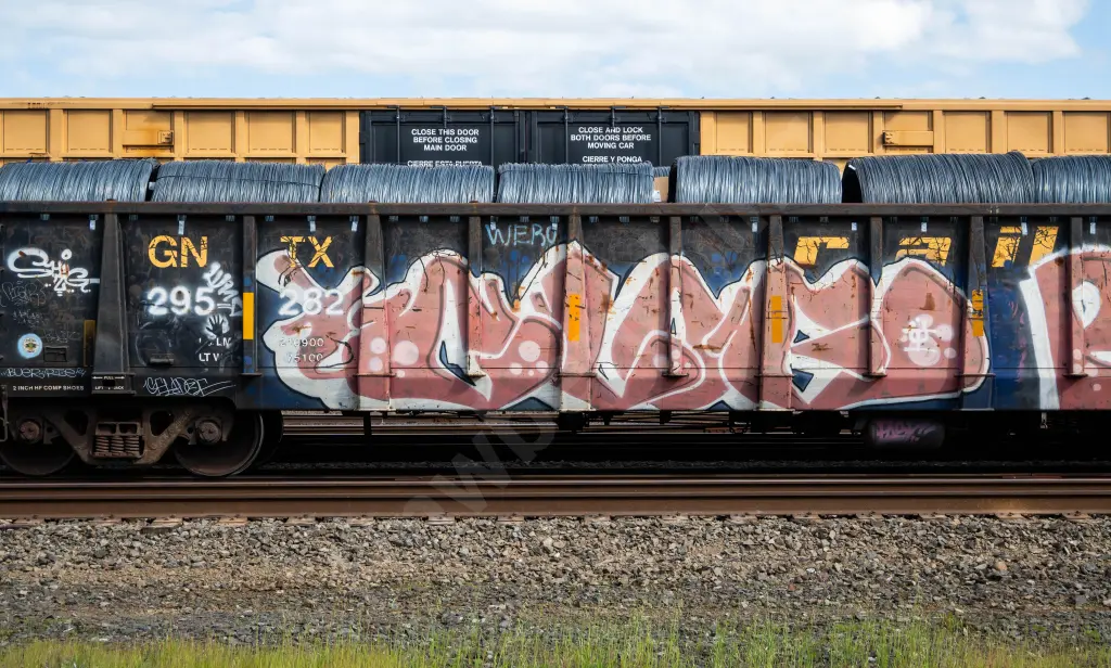 GNTX295282 - NORTH-AMERICA