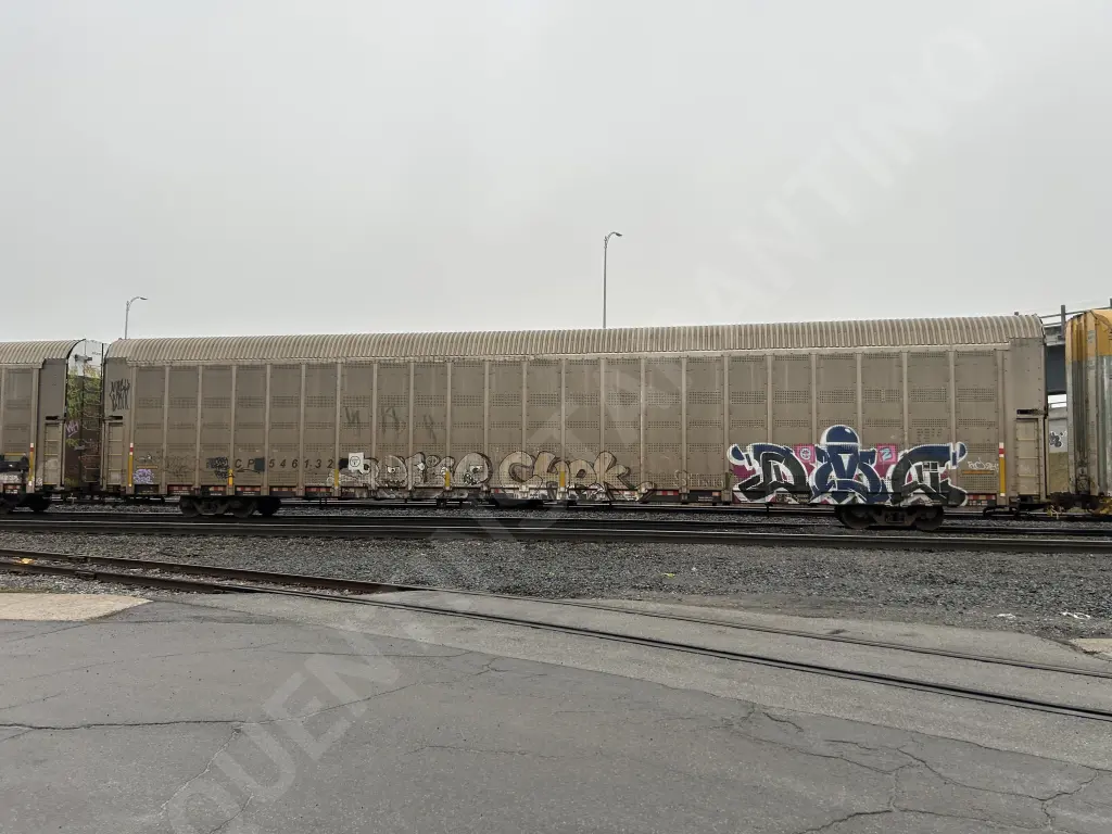 CP546132 - NORTH-AMERICA