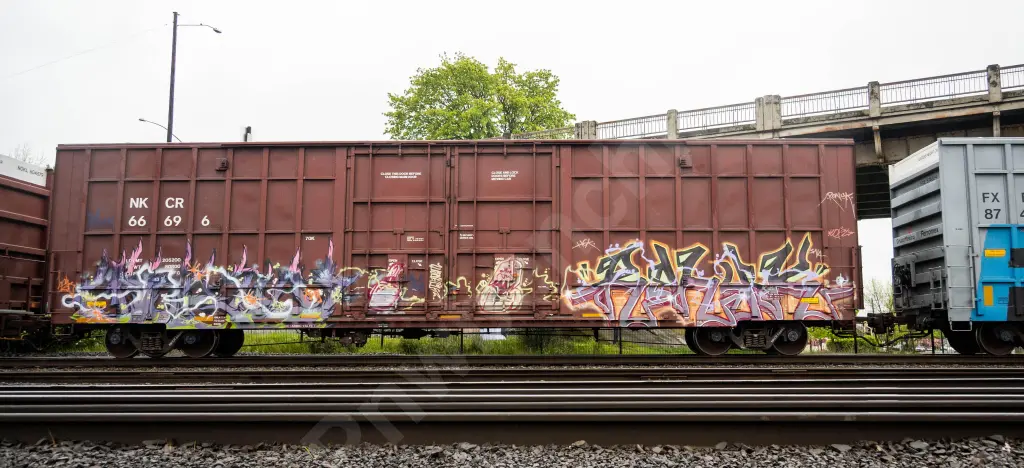 NKCR66696 - NORTH-AMERICA