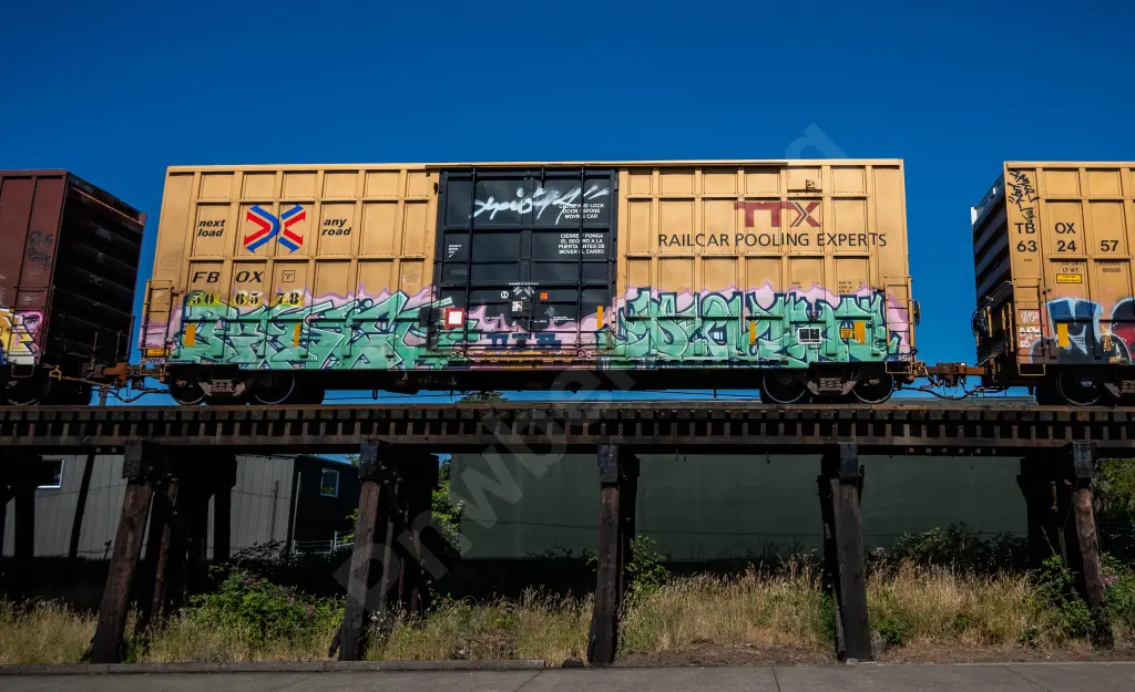 FBOX506578 - NORTH-AMERICA