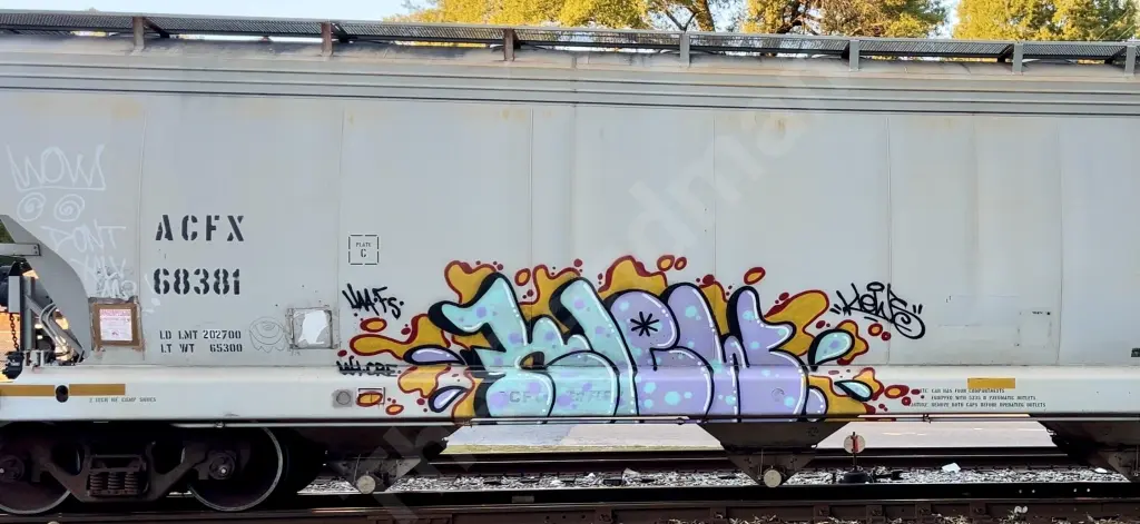 ACFX68381 - NORTH-AMERICA