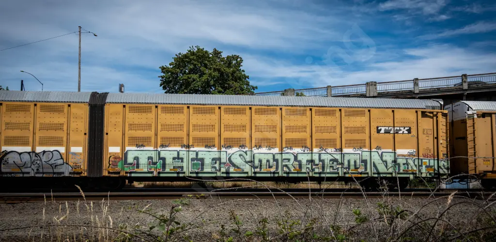 UTTX880264 - NORTH-AMERICA