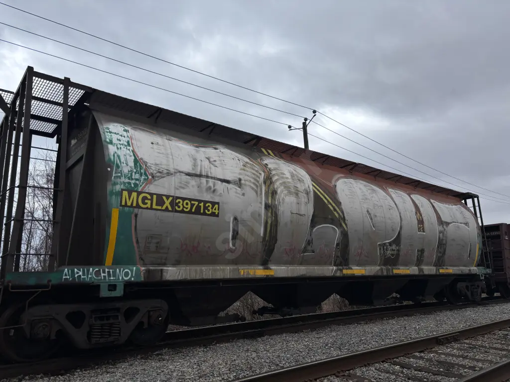 MGLX397134 - NORTH-AMERICA
