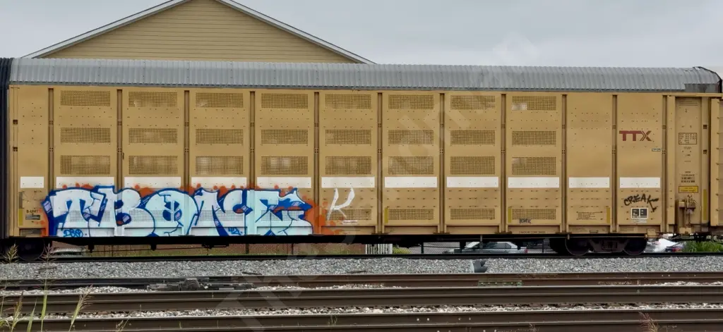 BTTX880305 - NORTH-AMERICA