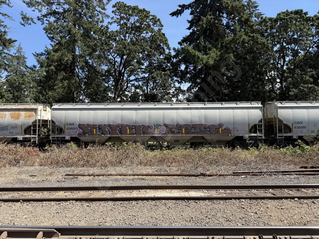 CAIX636051 - NORTH-AMERICA