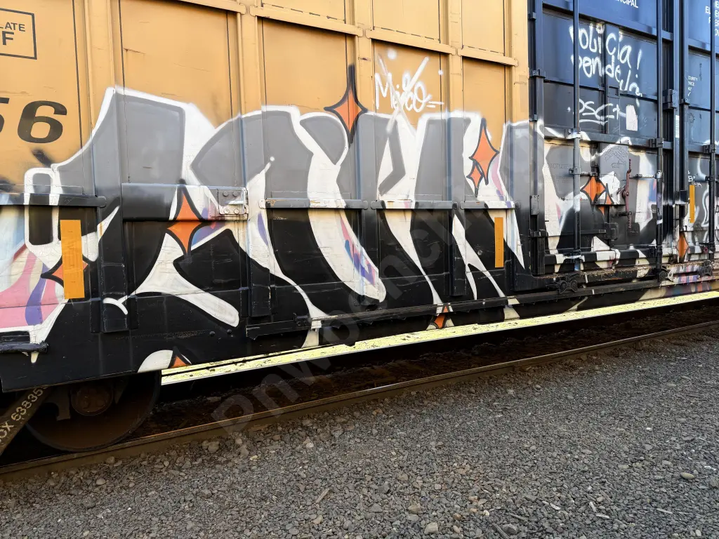 TBOX638356 - NORTH-AMERICA