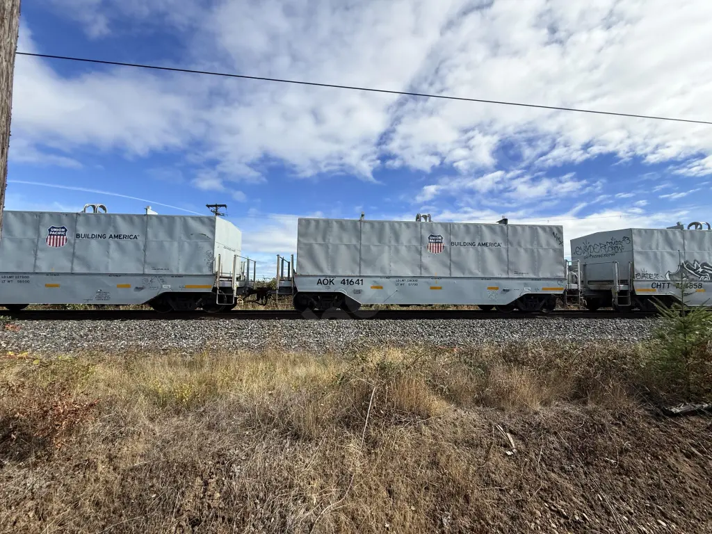 AOK41641 - NORTH-AMERICA