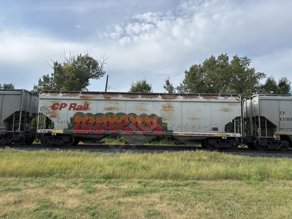 SOO118131 - NORTH-AMERICA