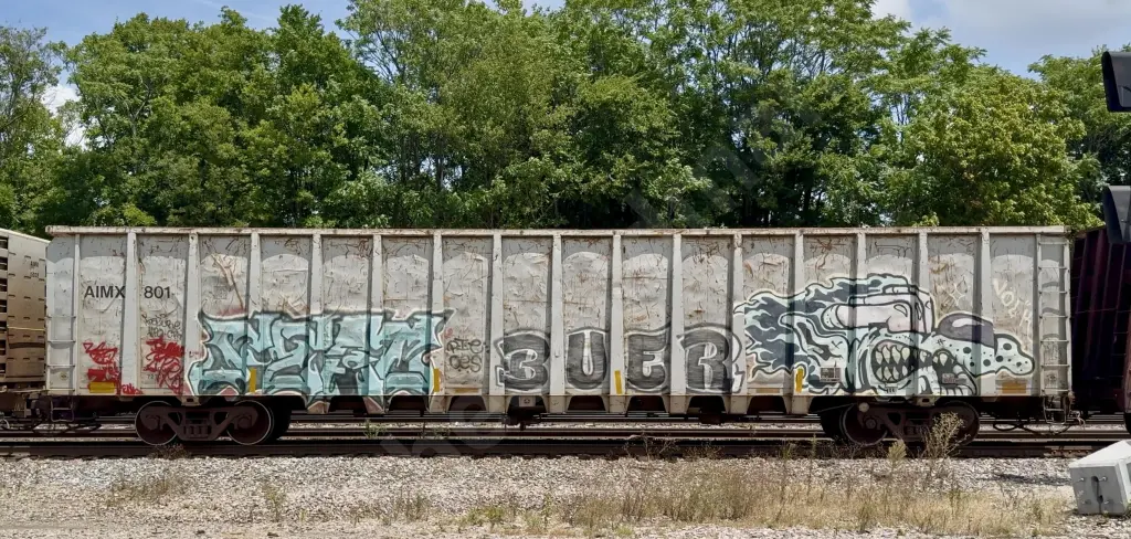 AIMX801 - NORTH-AMERICA